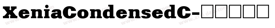 XeniaCondensedC字体转换