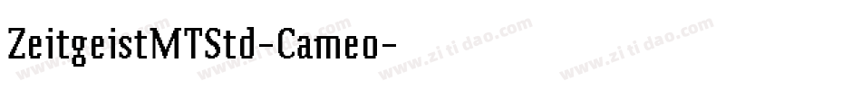 ZeitgeistMTStd-Cameo字体转换