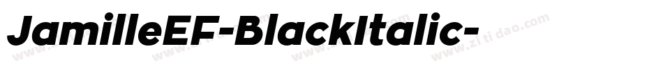 JamilleEF-BlackItalic字体转换 JamilleEF-BlackItalic字体转换
