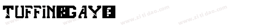 Tuffin-rGay字体转换