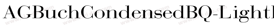AGBuchCondensedBQ-LightItalic字体转换