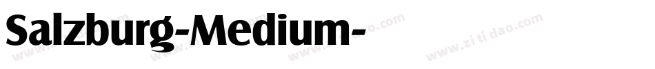 Salzburg-Medium字体转换