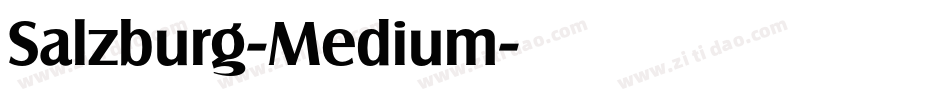 Salzburg-Medium字体转换