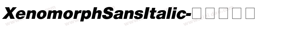 XenomorphSansItalic字体转换 XenomorphSansItalic字体转换
