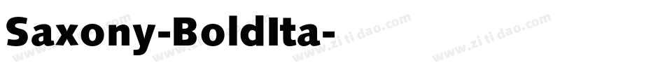 Saxony-BoldIta字体转换