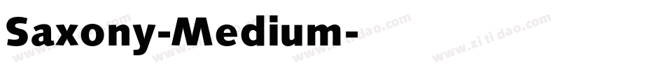Saxony-Medium字体转换