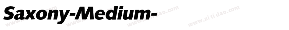 Saxony-Medium字体转换