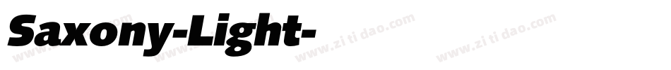 Saxony-Light字体转换