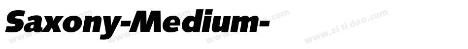 Saxony-Medium字体转换