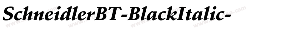 SchneidlerBT-BlackItalic字体转换