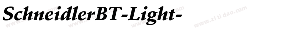 SchneidlerBT-Light字体转换