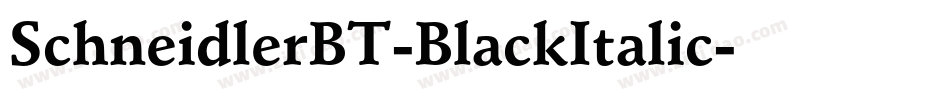SchneidlerBT-BlackItalic字体转换