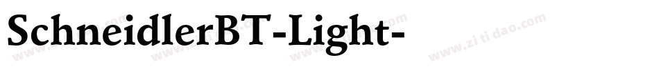 SchneidlerBT-Light字体转换