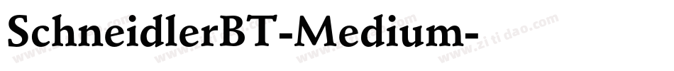 SchneidlerBT-Medium字体转换