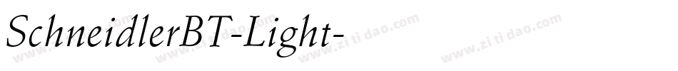 SchneidlerBT-Light字体转换