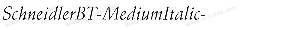 SchneidlerBT-MediumItalic字体转换