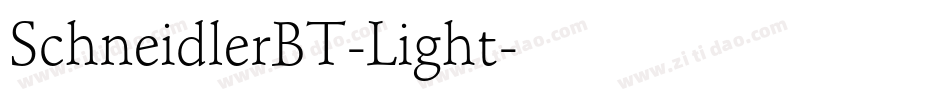 SchneidlerBT-Light字体转换