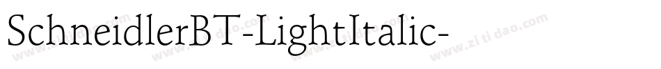 SchneidlerBT-LightItalic字体转换