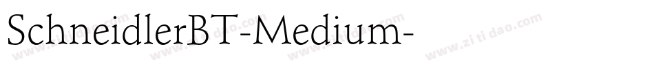 SchneidlerBT-Medium字体转换