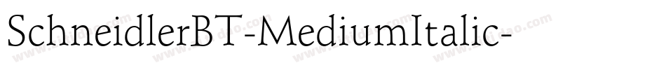SchneidlerBT-MediumItalic字体转换