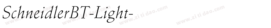 SchneidlerBT-Light字体转换