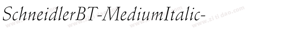 SchneidlerBT-MediumItalic字体转换