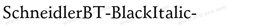 SchneidlerBT-BlackItalic字体转换