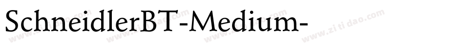SchneidlerBT-Medium字体转换