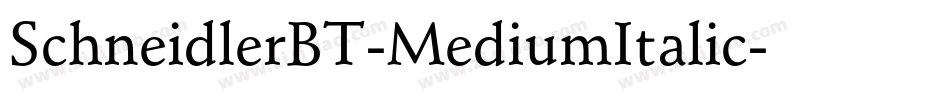 SchneidlerBT-MediumItalic字体转换
