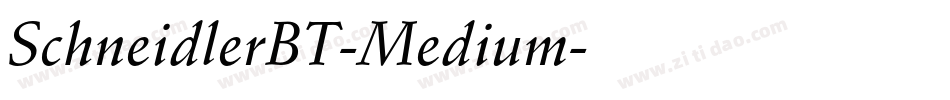 SchneidlerBT-Medium字体转换