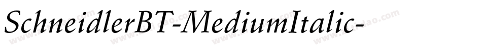 SchneidlerBT-MediumItalic字体转换