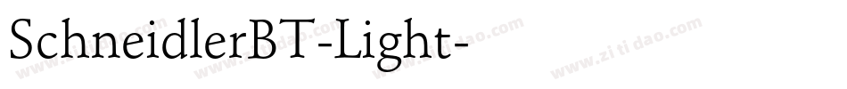 SchneidlerBT-Light字体转换