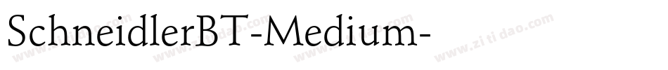 SchneidlerBT-Medium字体转换