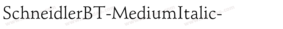 SchneidlerBT-MediumItalic字体转换