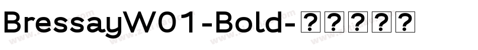 BressayW01-Bold字体转换