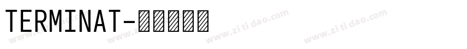 TERMINAT字体转换