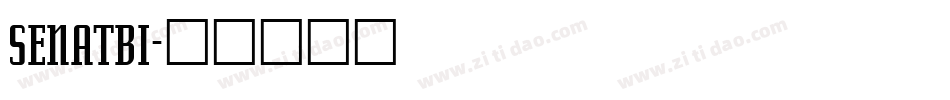 SENATBI字体转换