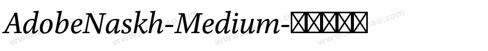 AdobeNaskh-Medium字体转换