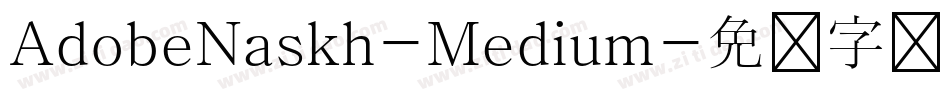 AdobeNaskh-Medium字体转换