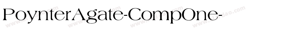 PoynterAgate-CompOne字体转换
