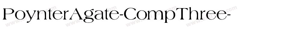 PoynterAgate-CompThree字体转换