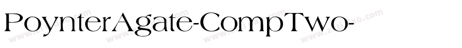 PoynterAgate-CompTwo字体转换