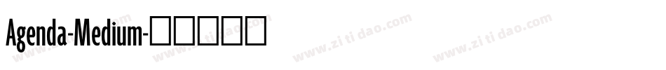 Agenda-Medium字体转换