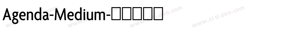 Agenda-Medium字体转换
