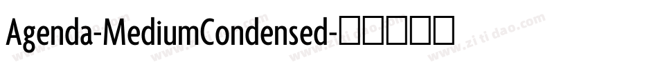 Agenda-MediumCondensed字体转换