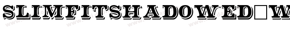 SlimfitShadowed-WaLA字体转换