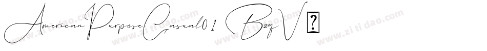 AmericanPurposeCasual01-BzqV字体转换