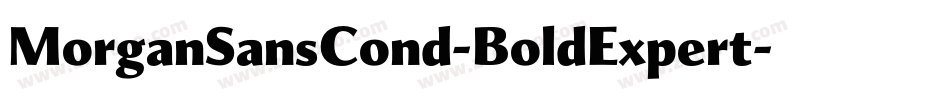 MorganSansCond-BoldExpert字体转换