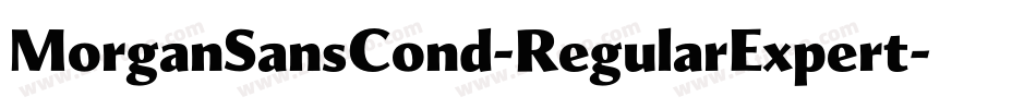 MorganSansCond-RegularExpert字体转换