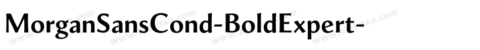 MorganSansCond-BoldExpert字体转换